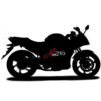 Спортбайки та спортивні мотоцикли  (9)